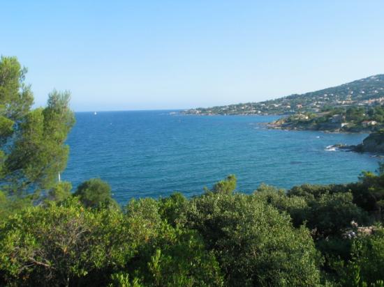 the mediterranee between trees and the west-cost and the beach