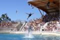 Marineland to Antibes