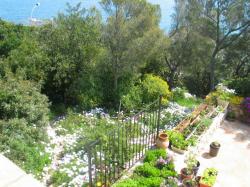 The view of the garden, in spring